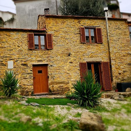 Pampihouse, Luxury Rustic House Near River Pampilhosa da Serra Eksteriør billede